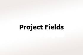 Projektfelder und Themen
